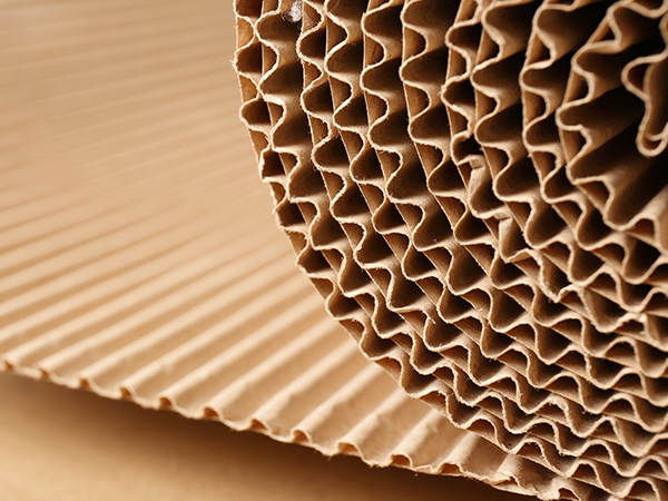 蜂巢紙(Honeycomb Paper).jpg